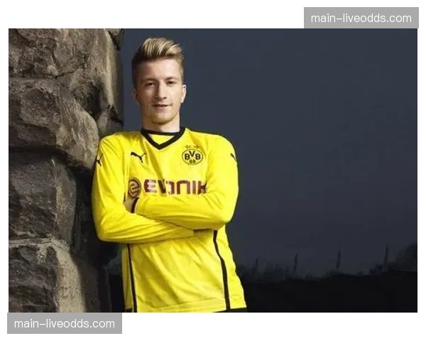 特写:老将罗伊斯替补登场,威斯特法伦球场响起经久不息的掌声 特写:老将罗伊斯替补登场,威斯特法伦球场响起经久不息的掌声